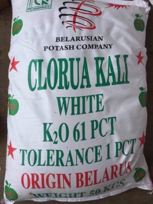 Kali Clorua Belarus