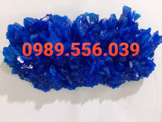 Ảnh ĐỒng MẪu 534x400 1